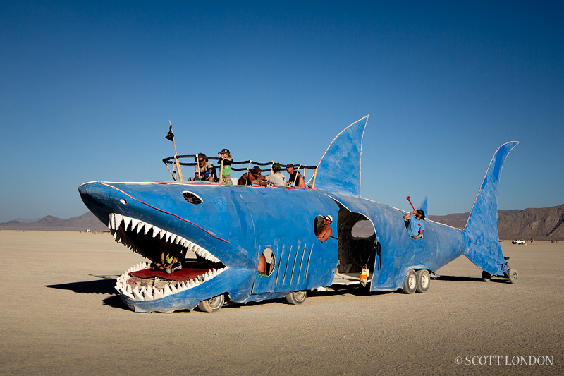 Shark Car